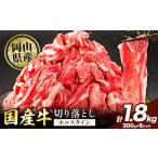 牛肉 肉 牛 切り落とし ホルスタイン 小分け 1.8kg