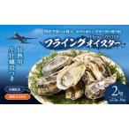ふるさと納税 加熱用　生牡蠣殻つき　2kg （約22個〜36個）調理方法付き フライングオイスター牡蠣  海の幸 牡蠣（魚介）/春木牡蠣養殖共同事.. 大阪府岸和田市
