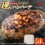 すがさんのハンバーグ セット 計20個
