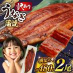 うなぎ 蒲焼 特大 訳あり 2尾
