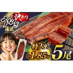 ふるさと納税 うなぎ 蒲焼 特大 訳あり 5尾 1.85kg うなぎ [um40bak830010] 福岡県宇美町