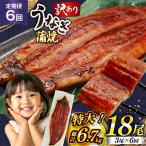 うなぎ 蒲焼 特大 訳あり 3尾