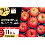 ふるさと納税 【26年1月〜発送】りんご【 数量限定 】訳あり 雪完熟 家庭用 糖度13度以上 葉取らず サンふじ 11個入り 林檎 リンゴ 果物 くだも.. 青森県弘前市