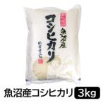 ふるさと納税 お米マイスター厳選！魚沼産コシヒカリ3kg×隔月6か月発送　定期便 新潟県
