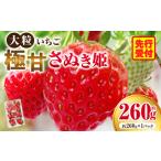 大粒いちご 極甘さぬき姫 約260g