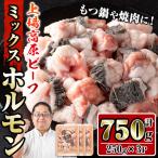 上場高原和牛 ミックスホルモン 750g