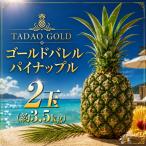 パイナップル TADAO GOLD 2玉