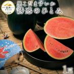 黒こだますいか 誘惑のひとみ 1玉