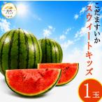 すいか スウィートキッズ 1玉