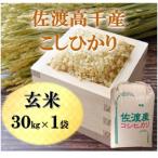 コシヒカリ 玄米 30kg×1袋