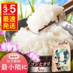 新米 コシヒカリ 5kg