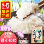 新米 つや姫 5kg