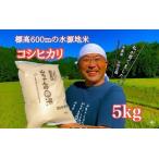 令和7年度産 農家直送 山ちゃんのお米 コシヒカリ5kg