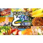 ショッピングふるさと納税 定期便 ふるさと納税 【定期便】どうまい定期便 全3回 お試しコース （ うなぎ 豚肉 サーモン)  愛知県田原市