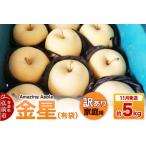 ふるさと納税 【寄附金額見直しました】【26年11月下旬発送】りんご 金星（有袋）【訳あり】家庭用 約5kg 青森県弘前市