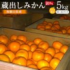 冬採れみかん 中生みかん 2L~3Lサイズ混合