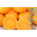 後藤みかん農園 せとか 約1.3kg