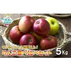 米崎りんご 5kg