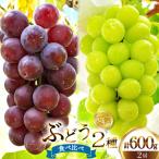 ぶどう エミー農園で作る 完熟ぶどう 2種食べ比べセット