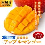 フルーツ幸せ農園のアップルマンゴー2kg