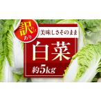 fu.... налог китайская капуста есть перевод китайская капуста примерно 5kg(3 шар из 4 шар )[12 месяц сверху . из последовательный рассылка ] китайская капуста [AGEK001] Ehime префектура большой . город 