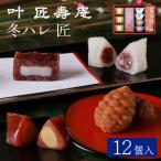 叶 匠壽庵 冬ハレ 匠 T-30 あも 和菓子のし