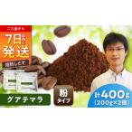 グアテマラコーヒー 粉 ロハ 200g×2