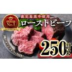 ふるさと納税 ＜ローストビーフ・250g×1本＞ローストビーフ(鹿児島黒牛使用)(計250g・オリジナルソース付き) ローストビーフ ソース付き .. 鹿児島県曽於市