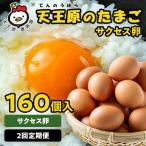 2回定期 サクセス卵160個入り
