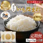 定期便3回 いちほまれ 無洗米 2kg×3袋×3回