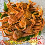 662. 活訳あり松葉ガニ お任せ大満足の5kgセット