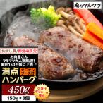御前崎店舗 商品 お試し用 満点ハンバーグ 450g