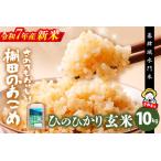 佐賀県基山町 玄米・雑穀米　ふるさと納税 【令和7年産 新米】【基肄城水門米】さめてもおいしい棚田のお米 10kg【ひのひかり 米 玄米 お米 やまつき米 モチモチ 基山町産 棚.. 佐賀県基山町