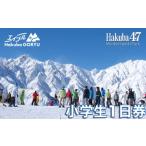 エイブル白馬五竜&Hakuba47スキー場シーズン券