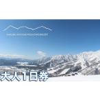 白馬岩岳スノーフィールドリフト券
