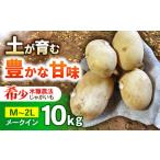 ジャガイモ あいゆたか 10kg