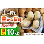 ジャガイモ 品種ミックス 10kg