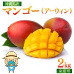 宮平農園のマンゴー2kg