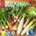 ボリューム 満点 季節の野菜 詰め合わせ 冬