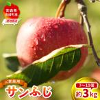 訳あり サンふじ 約3kg