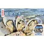 能登かき 殻付き小缶 加熱用 牡蠣 類 訳あり