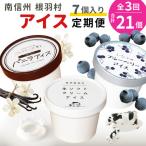 全3回★3種類のアイス定期便☆ 南信州