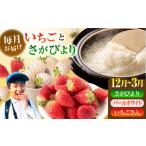 いちごとお米の贅沢定期便 1 いちご IBG019