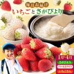 いちごとお米の贅沢定期便 2 いちご IBG020