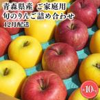 りんご 美丘10kg