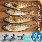 川魚 あめご 天魚 4尾