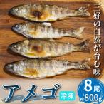 川魚 あめご 天魚 8尾