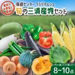 産直センターうらりマルシェ 旬の三浦産物セット