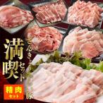 精肉 さんきょうみらい豚満喫セット 豚肉