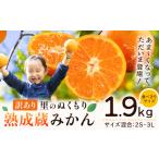 ふるさと納税 訳あり 熟成みかん 1.9kg  ｜みかん  徳島 徳島県佐那河内村